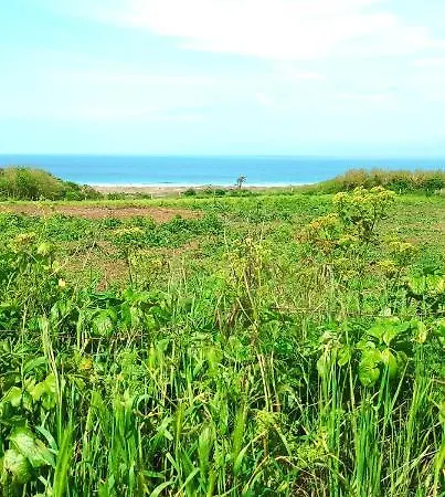 Les Ronds Duval Face Aux Iles Anglo-normandes Kemping *